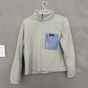 Patagonia Sage Green Fleece with Blue Accents